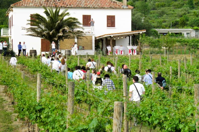 Konavle Valley: Tour with Wine Tasting from Dubrovnik - The bus ride into southern Dalmatia