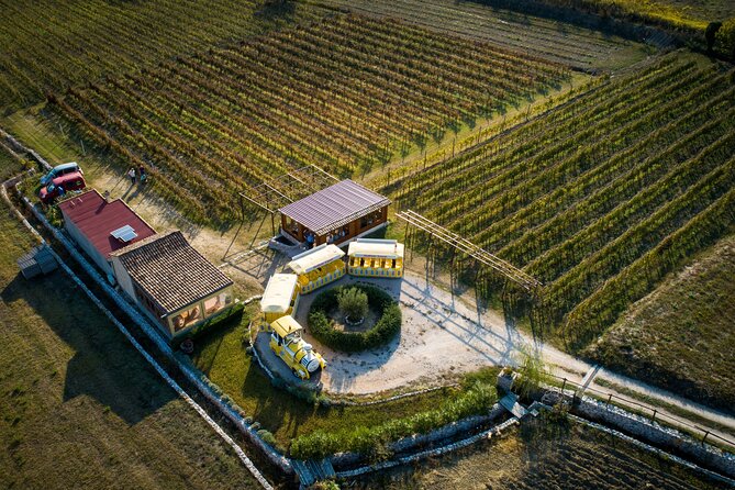 Konavle Valley Wine Tour from Dubrovnik with Train Ride and Wine Tasting - Brajković wine cellar in Zastolje