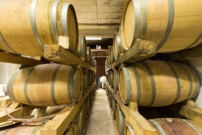 Konavle wine tasting tour from Dubrovnik with 2 vinery's - Brajković Winery in Zastolje