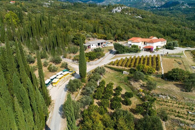 Konavle wine tasting tour from Dubrovnik with 2 vinery's - The Mlini finish adds more than a photo stop