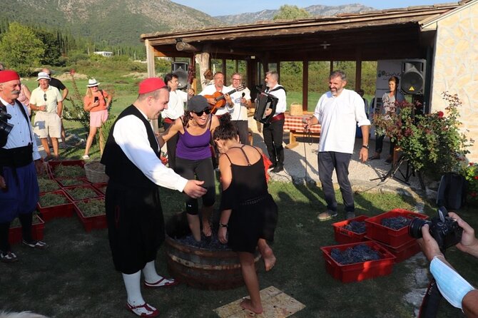 Konavle wine tasting tour from Dubrovnik with 2 vinery's - Is $225.31 a fair price?