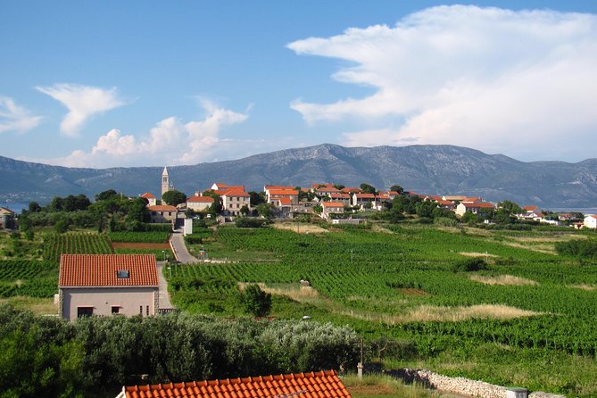 Korcula Bike & Wine Tour | Wine Tasting in Lumbarda - Two family wineries, two different moods