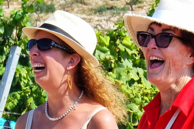 Korcula Buggy (Official) Safari Tour -Local Food & Wine Tasting- - Vineyards, olive groves, and wartime reminders
