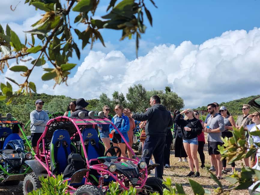 Korcula: Buggy Safari with Local Food and Wine Tasting - The hunting room and the stories behind the property