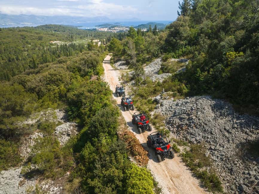 Korcula Buggy Safari With Wine Tasting - Key points to know before you book