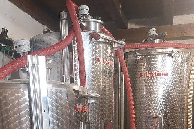 Korčula for Wine Lovers - Pošip and Grk Wines Private Tour - Timing, meeting point, and cancellation