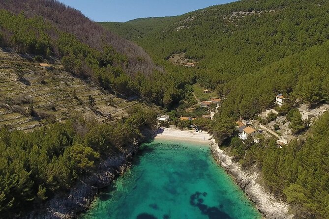 Korcula Island Mountain E Bike Private tour with lunch - Swimming and snorkeling at a sandy beach