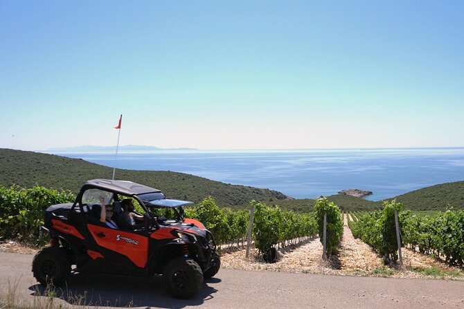 Korcula Island Private Buggy Beach Hunting Safari with lunch - Key points to know before booking