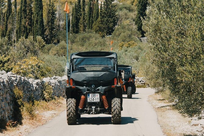 Korcula Island Private Buggy Beach Hunting Safari with lunch - What the $419.39 price means