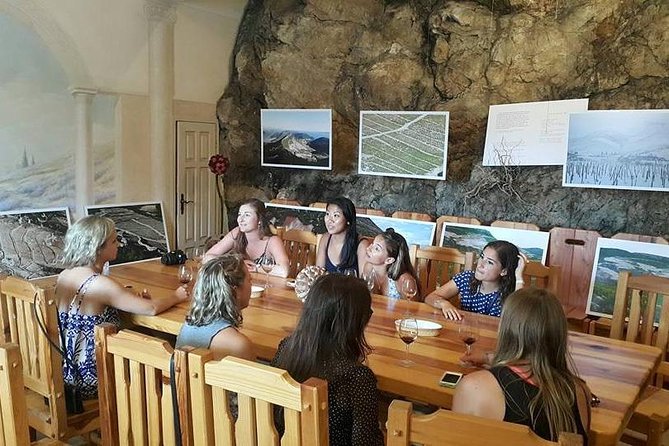 Korcula & Peljesac Full Day Private Tour from Dubrovnik - Transport, timing, and group comfort