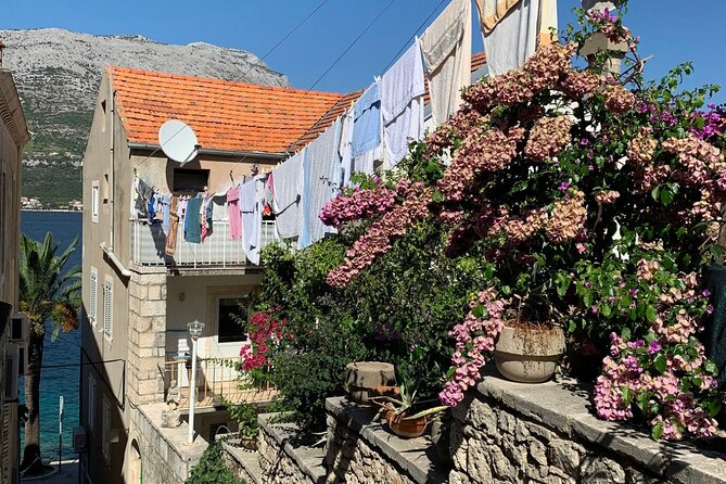 Korcula Private Tour - Wine, oysters, olive oil, and Grk
