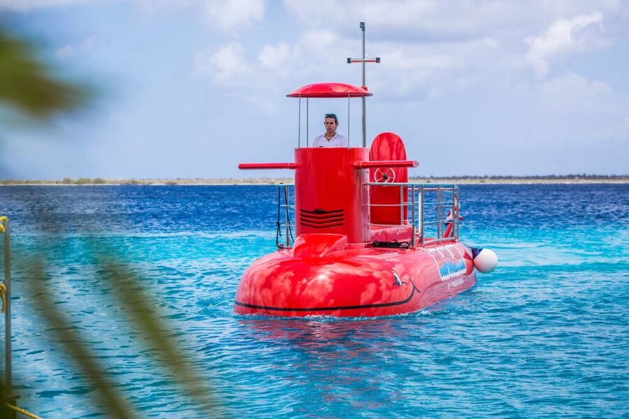 Korcula: Semi-Submarine Tour - Who will enjoy this most?