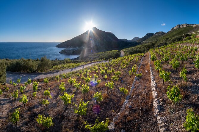 Korčula & Ston: Island Charms, Pelješac Delights & Wine Tasting - Transport, timing, and comfort