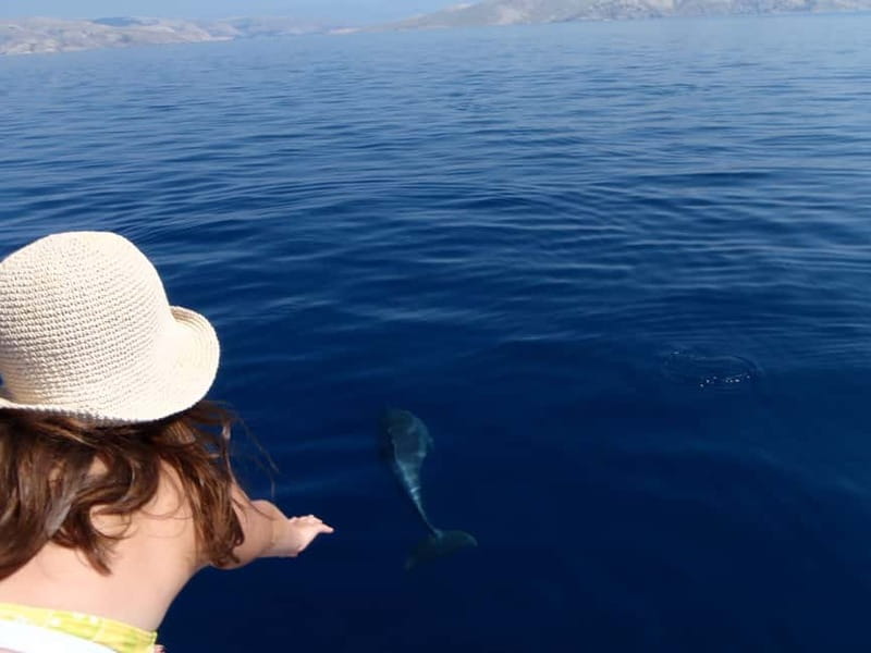 Krk:Rab & Pag Boat Trip with Swimming & City Tour with lunch - Lunch on the open deck