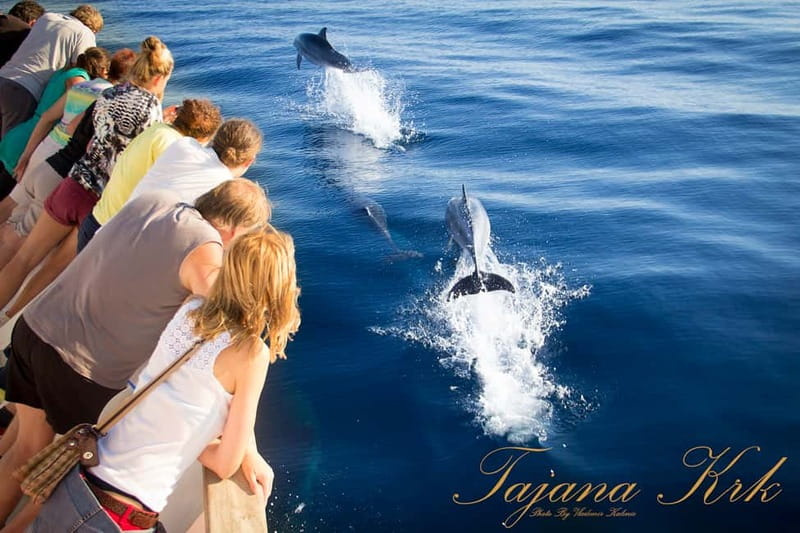 Krk:Rab & Pag Boat Trip with Swimming & City Tour with lunch - The return to Krk