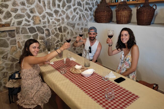 Krka National Park Tour with tour Guide & Wine tasting from Split & Trogir - Boat ride, river views, and the route to Skradin