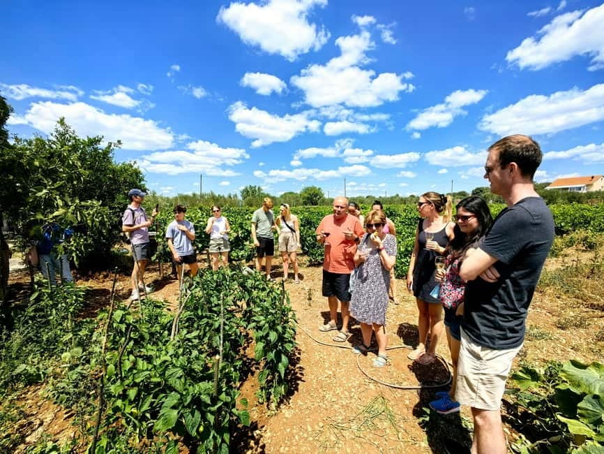 Krka waterfalls tour with lunch from Split - Returning to Split by late afternoon