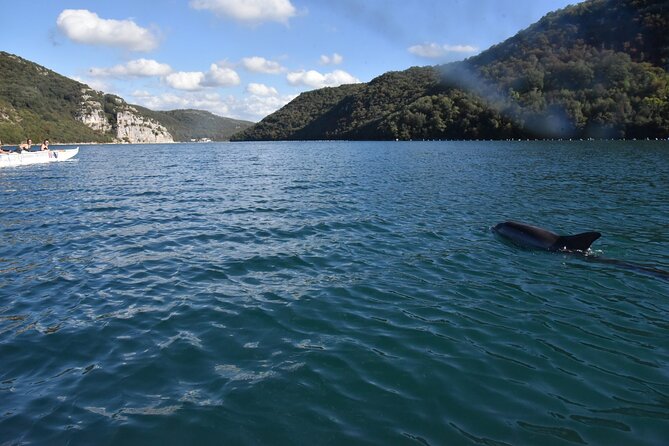 Lim Bay Outrigger Canoe Tour - The optional Fjord tasting and the real value of the price