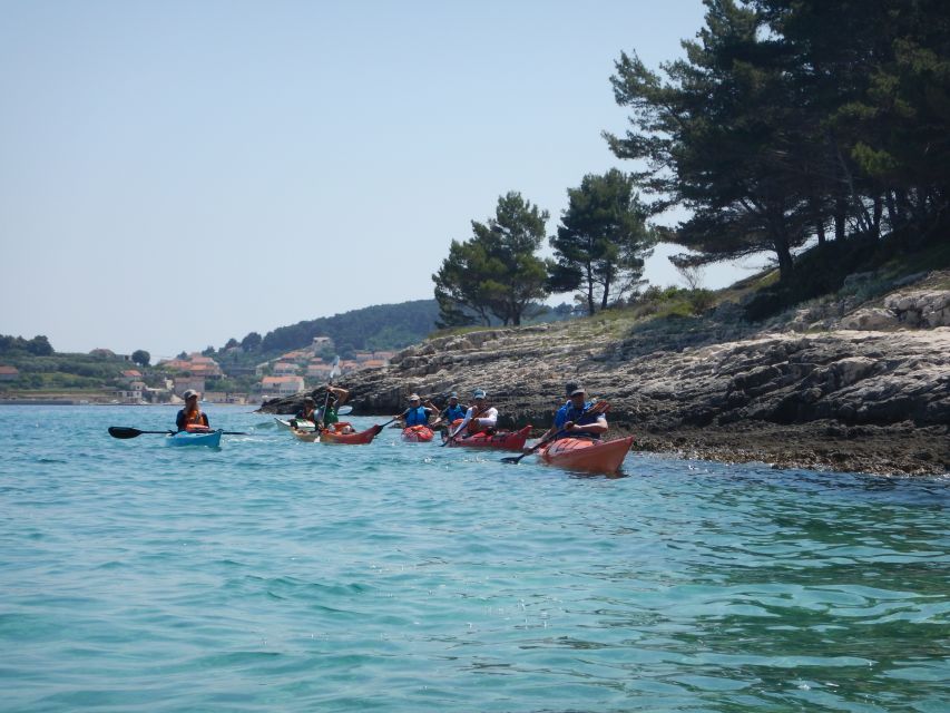 Lumbarda: Half-Day Kayaking and History with Wine delight - Who should book this kayaking trip?