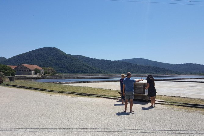 Luxury private transfer Split - Dubrovnik with lunch in Ston - What the Ston stop gives you in three hours