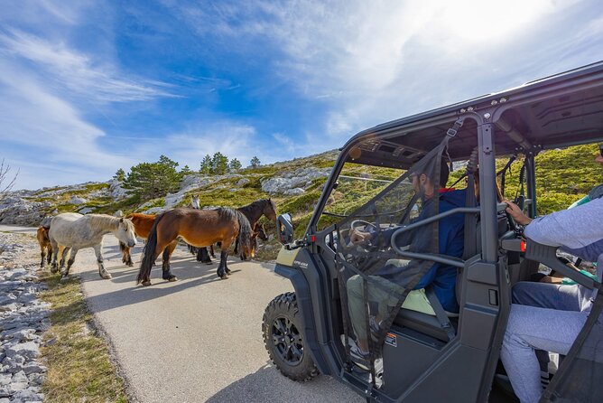 Makarska: Baggy Skywalk & Biokovo viewpoint Tour - Why this Biokovo outing is more than a Skywalk stop