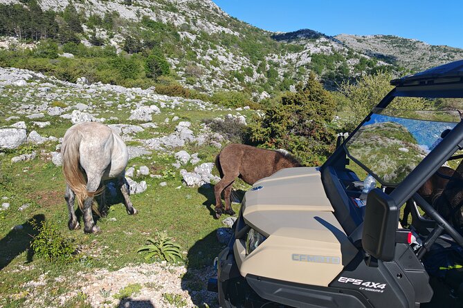 Makarska: Baggy Skywalk & Biokovo viewpoint Tour - Reaching the Biokovo Skywalk at 1228 meters
