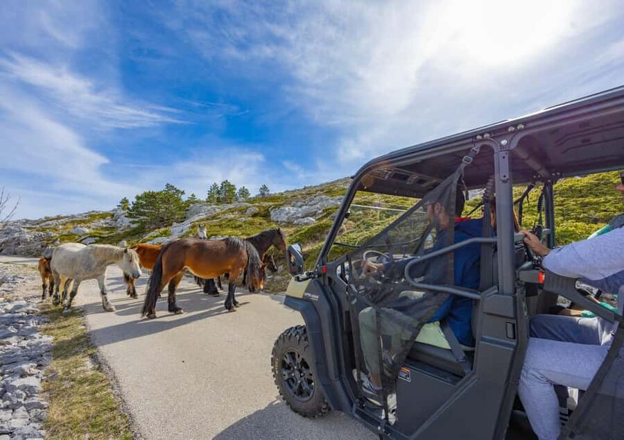 Makarska: Buggy Skywalk and Biokovo Tour - The buggy ride is more than a transfer