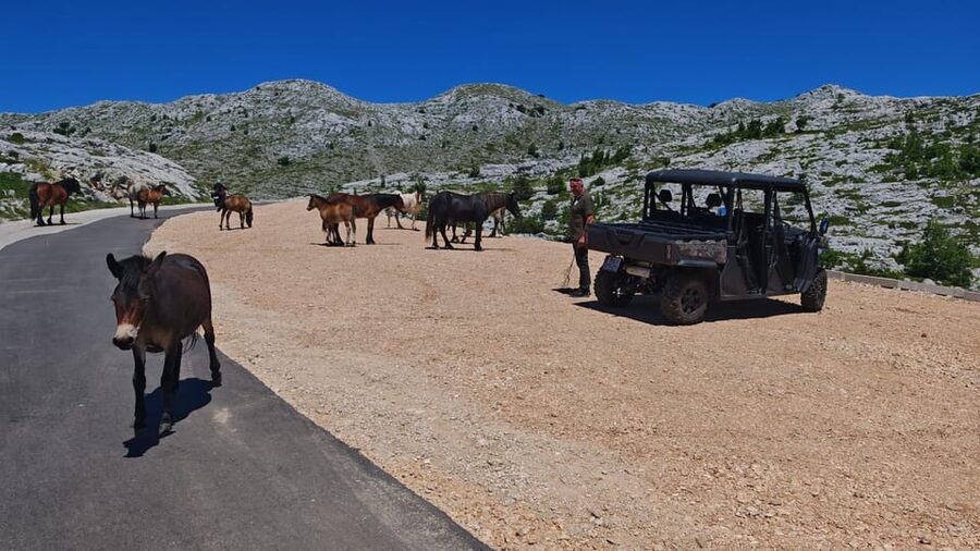 Makarska: Buggy Skywalk and Biokovo Tour - Sinjal gives you the quieter mountain moment