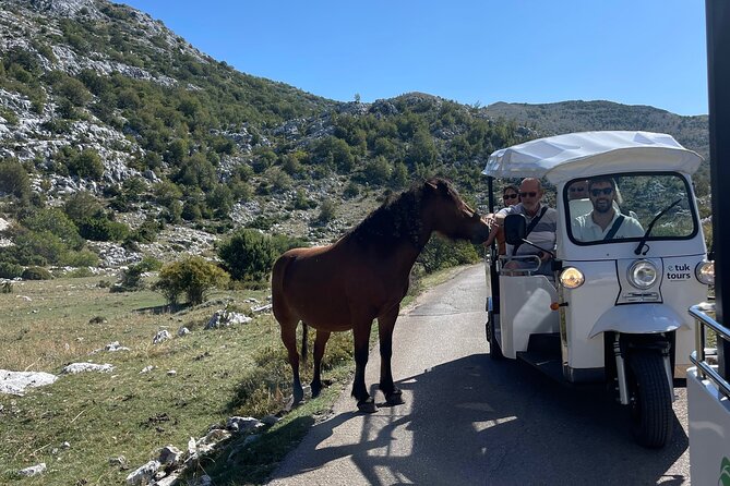 Makarska: Skywalk Tour with a Tuk Tuk - Skip the line ticket - Practical advice before you book
