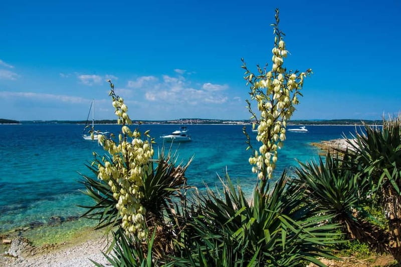 Medulin: Boat Cruise to Kamenjak/Ceja with Lunch and Drinks - Key points to know before booking