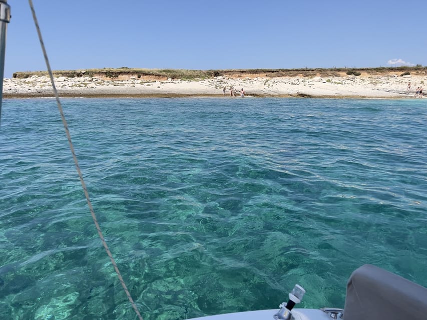 Medulin: Morning on Speedboat with Cave & Island Snorkeling - Swimming with fish in clear coastal water