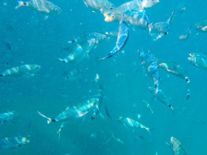 Medulin: Private Boat Tour with Captain - Booking details that affect your day
