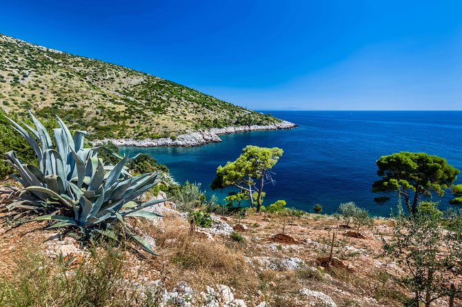 Mesmerizing Hvar speed boat tour with optional wine tasting - What the captain and private format add
