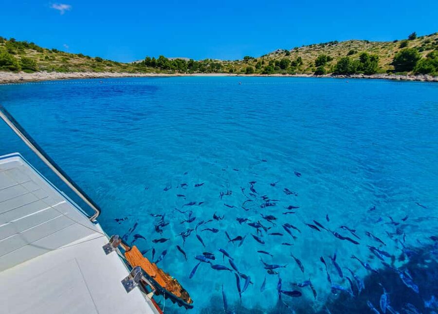 Mikado Kornati Excursion - Should you book Mikado Kornati Excursions?