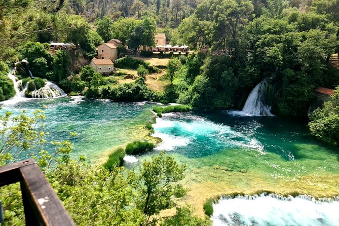 Mljet Island tour from Dubrovnik - What the guide adds, and where language matters