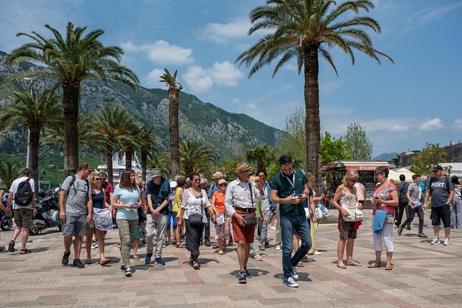 Montenegro: Bay of Kotor Day Trip from Dubrovnik English -Español - Early pickup and the road to Montenegro