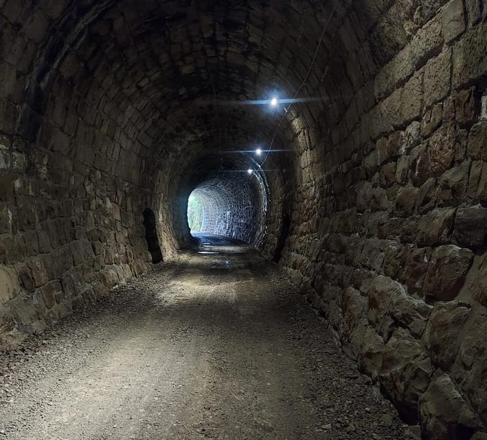 Motovun: The trail of Giants hiking tour & Fritule Tasting - Fritule and the taste of Istrian tradition