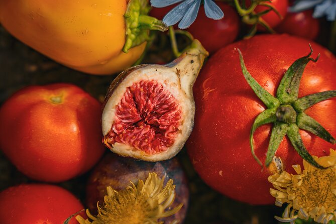 Olive farm & village - Key points about the Vardia farm visit
