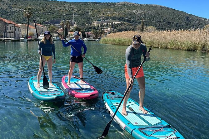 Ombla river Paddleboarding tour in Dubrovnik with snacks - Starting in Komolac at 3:30 pm
