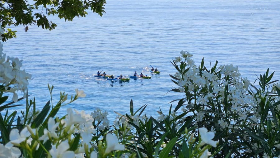Opatija: Cliffs and caves kayak adventure - Who should book, and who should skip it