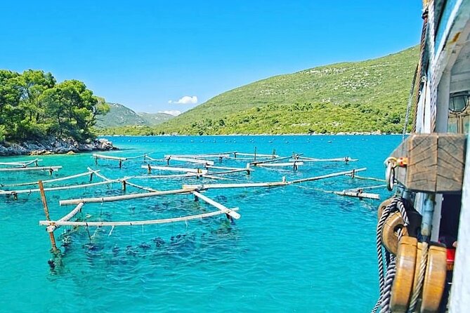 Oyster farm experience / Private day trip from Dubrovnik - From Dubrovnik to the oyster beds of Mali Ston