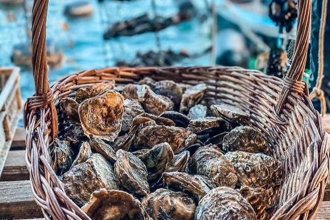 Oyster farm experience / Private day trip from Dubrovnik - What the private vehicle changes