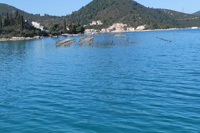 Oysters and mussels tasting with wine in Ston and Pelješac - Ston walls and 45 minutes of free time