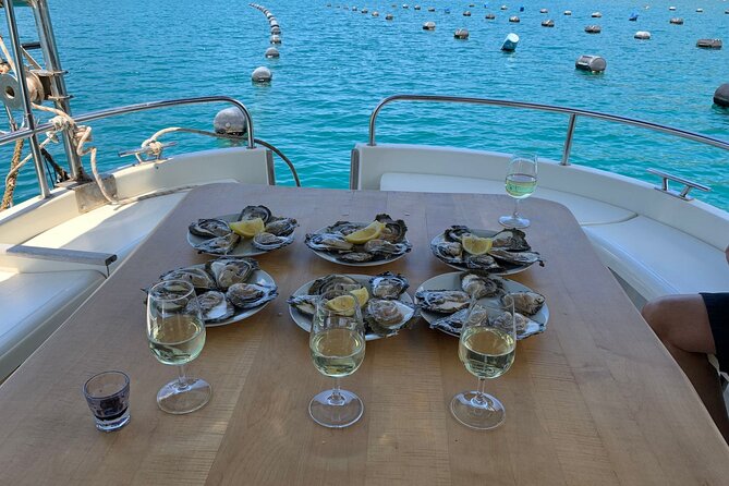 Oysters and mussels tasting with wine in Ston and Pelješac - Who should book this outing?
