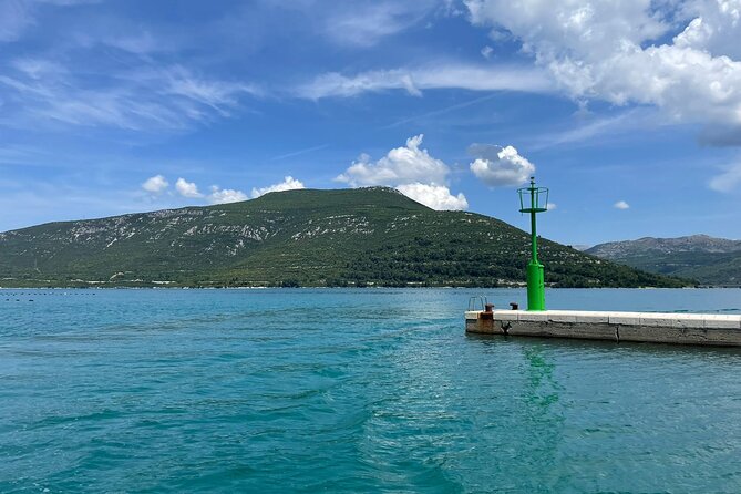 Oysters and mussels tasting with wine in Ston and Pelješac - Hodilje and the family shellfish farm
