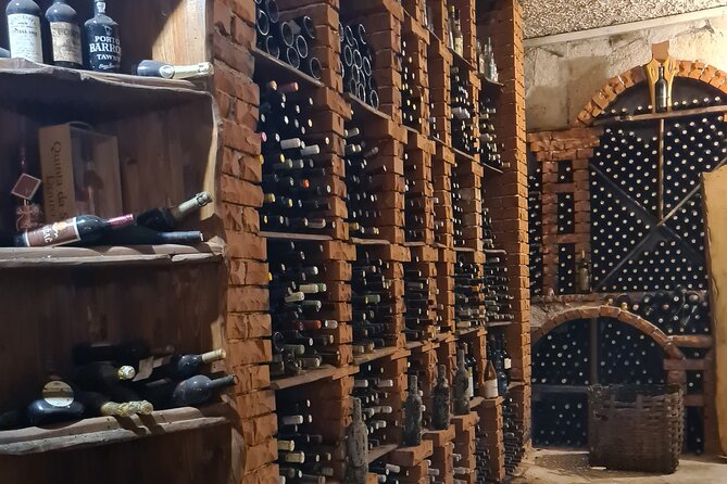 Oysters & Wine Tour From Dubrovnik (Small Group) - The boat ride to Mali Ston Bay