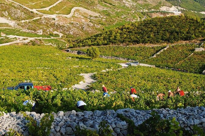 Oysters & Wine Tour From Dubrovnik (Small Group) - Mussels, wine, spirits, and local sweets