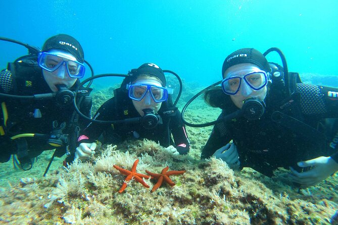 PADI Discover Scuba Diving in Dubrovnik - The long surface break between sessions