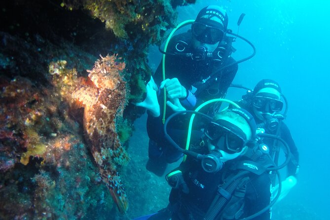 PADI Discover Scuba Diving in Dubrovnik - Is $180.44 a fair price?