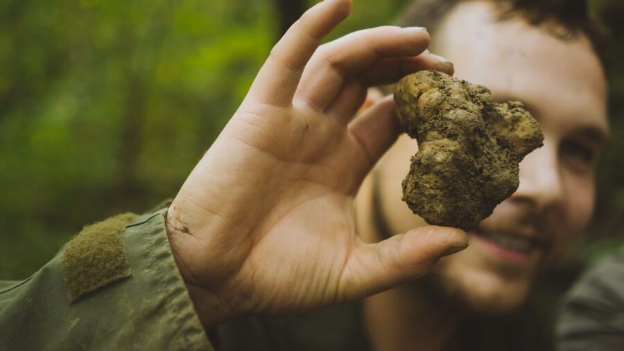 Paladini: Truffle Hunting Tour with 3-Course Tasting Menu - Fresh air, muddy shoes, and changing weather